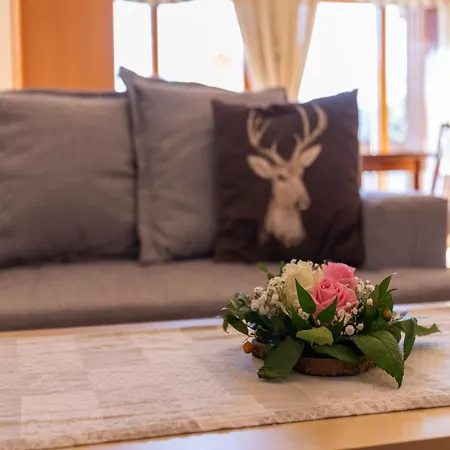 In St Stefan Nahe Nassfeld Skigebiet Apartman